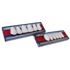 Wright SENATOR Acrylic Teeth (3 Layer) - 1 Set